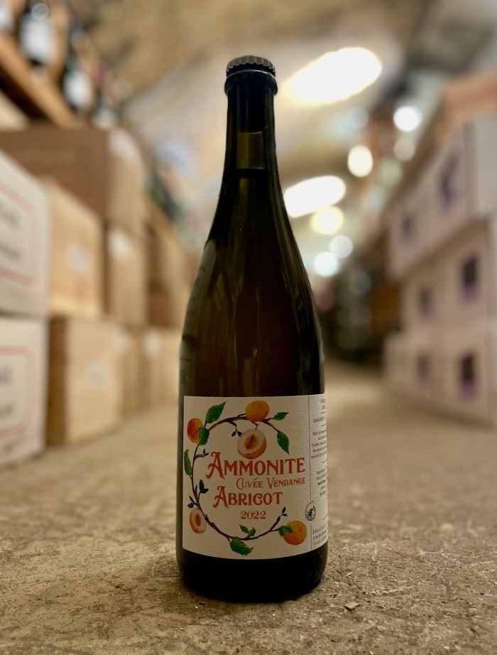 AMMONITE Bières Abricot 2022