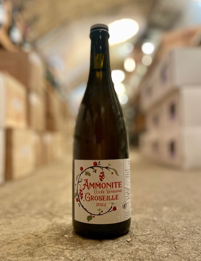 AMMONITE Bières Groseille 2022