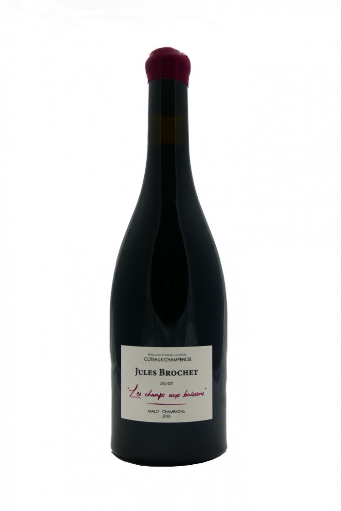 JULES BROCHET Coteaux Champenois Rouge Mailly Grand Cru 2019 75cl